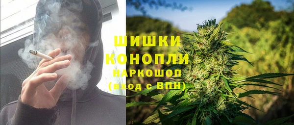 шишки Алзамай