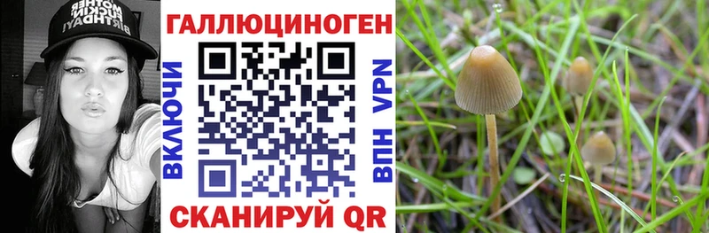 Псилоцибиновые грибы ЛСД ОМГ ОМГ как зайти Павлово купить наркотик